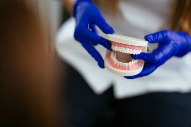 Best Root Canal Treatment  in Marquette Heights, IL