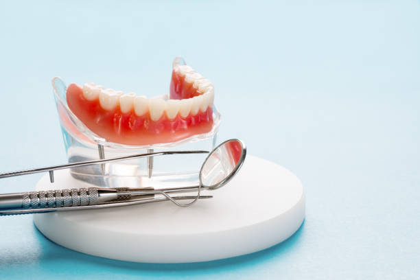 Professional Holistic Dental Care Services in Marquette Heights, IL